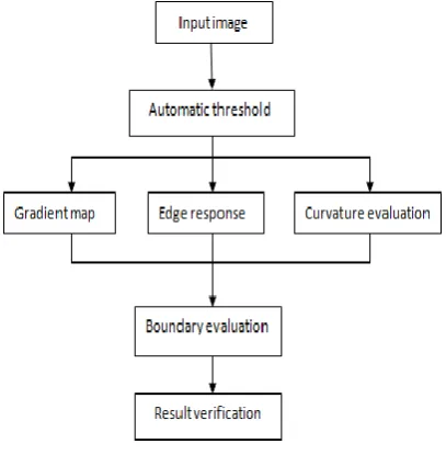 Figure 3. (a),(b),(c),(d) are the input image and (a’),(b’),(c’),(d’) are the associated edge map