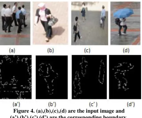 Figure 4. (a),(b),(c),(d) are the input image and (a’),(b’),(c’),(d’) are the corresponding boundary
