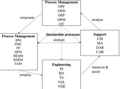 Fig.1. CMMI categories of process areas category.