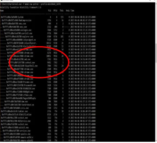 Fig 1: SkypeShell.exe process generated by pscan 