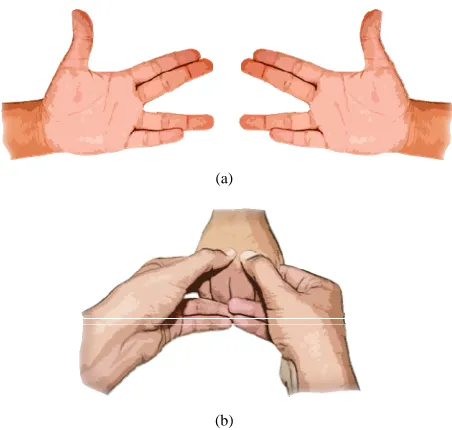 Figure 1. (a) MCP-scissor technique: first step, the exam-iner should make a scissor like shape with his/her fingers