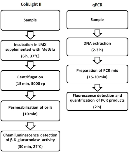 Figure 1. Outline of the rapid detection principles, ColiLight II and qPCR, for detection of matrices