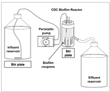 Figure 2. Experimental set-up of a flow-through drinking water reactor system used in the persistence experiments