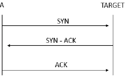 Figure 2. Illustration of a Denial of Service attack using the SYN Flooding Attack method