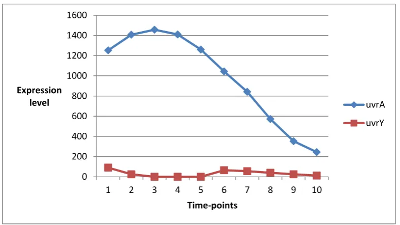 Figure 2:  Expression patterns of two genes recA and uvrA in ecoli dataset having the different expression trend 