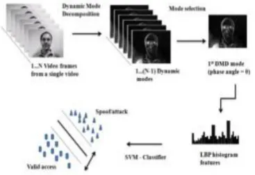 Fig 4. Spoof recognition using Dynamic Mode Visualization [26] 