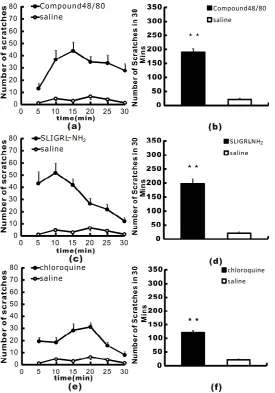 Figure 3. Significantly higher scratching behaviors induced by intradermal injection of compound 48/80 and chloroquine in female mice
