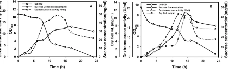 Figure 2. Fermentation profile of Weissella confusa(B) Lab scale bioreactor level. The cell growth, dry cell weight, dextransucrase production and sucrose concentration changes are shown at: (A) Shake flask;  Cab3 using statistically designed medium for de