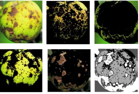 Fig. 1 demonstrates the output of K-Means clustering for an apple fruit infected with apple rot disease
