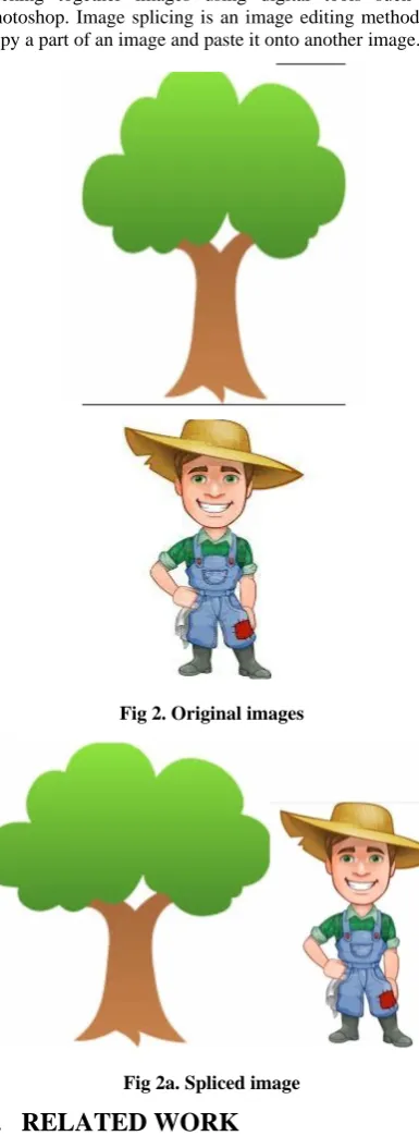 Fig 2a. Spliced image 