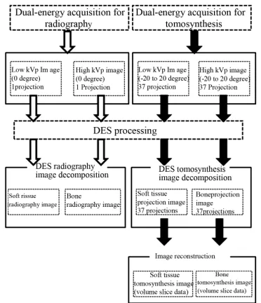 Figure 1. Illustration of the imaging sequence by dual-en- ergy subtraction digital tomosynthesis imaging and dual- energy subtraction radiography