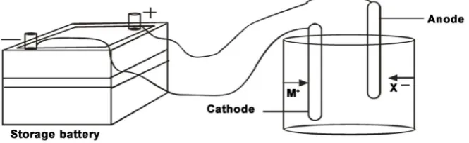 Figure 1. A typical conventional electrolytic cell [7]. 