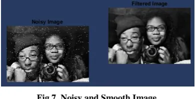 Fig 7. Noisy and Smooth Image  