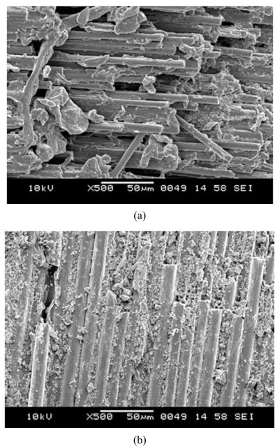 Figure 5. SEM micrograph of worn surface of unfilled C-E subjected to load (a) 11 N; (b) 35 N
