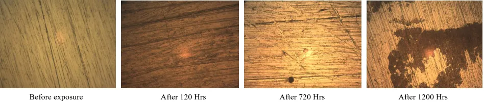 Figure 5. Microstructures of ASS before and after immersion in sodium chloride (400×)