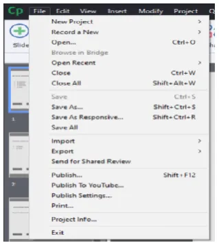 Fig 1: Features on the Adobe Captivate New Project 