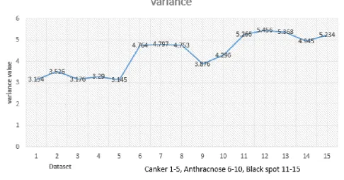 Figure 4. Citrus fruit Variance result graph 