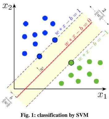 Fig. 1: classification by SVM 