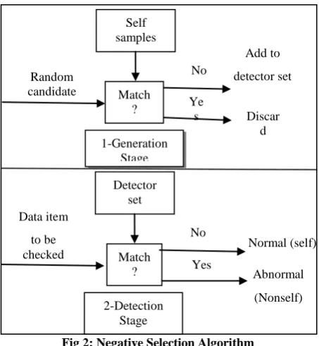 Table 1. NSA classification  