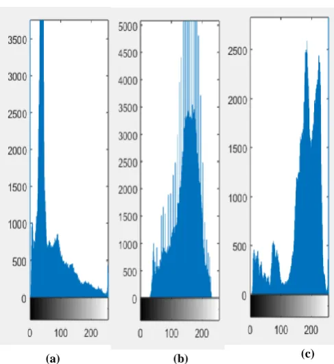 Fig. 4 Image Histogram for; (a) Original Image (1), (b) Original Image (2), and (c) Original Image (3) 