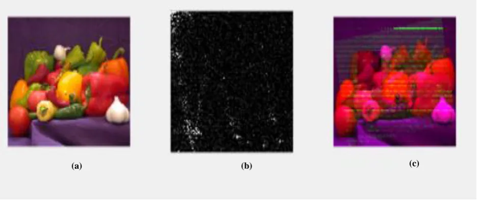 Fig. 5: The Simulation Results for; (a) Original, (b) Encrypted, and (c) Decrypted Versions of Image (1) for DCT Based Technique with Chirikov Map against Friendly Composite Attack in Case of Gaussian Noise in first image 