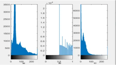Fig. 6 : The Simulation Results for; (a) Original, (b) LL Component, (c) LH Component, (c) HL Component, (d) HH  Component of Encrypted, and (d) Decrypted Versions of Image (1) for DWT Based Technique with Chirikov Map against Friendly Composite Attack in Case of Gaussian Noise in first image 