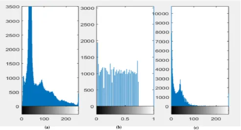 Fig. 9: The Simulation Results for; (a) Original, (b) Encrypted, and (c) Decrypted Versions of Image (1) for DCT Based Technique with Chirikov Map against Friendly Composite Attack in Case of Salt & pepper noise in first image 