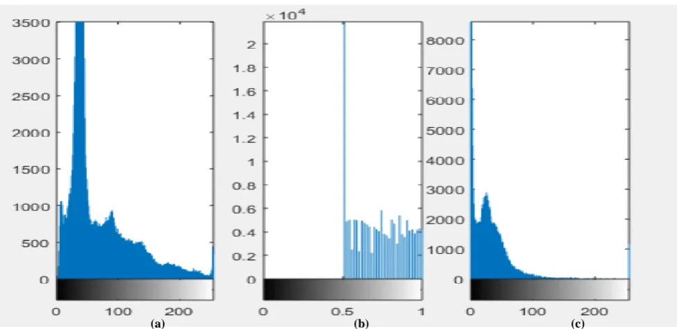 Fig. 10: The Simulation Results for; (a) Original, (b) LL Component, (c) LH Component, (c) HL Component, (d) HH Component of Encrypted, and (d) Decrypted Versions of Image (1) for DWT Based Technique with Chirikov Map against 