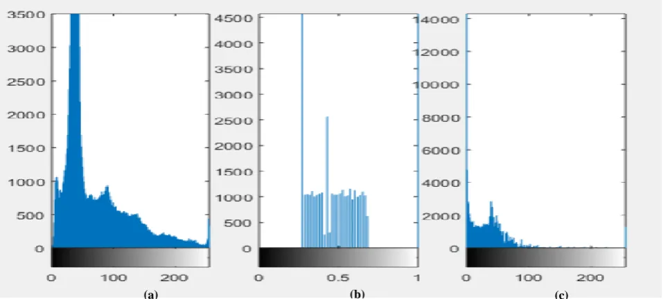 Figure 13: The Simulation Results for; (a) Original, (b) Encrypted, and (c) Decrypted Versions of Image (2) for DCT technique with Henon map against Gaussian noise in first image 