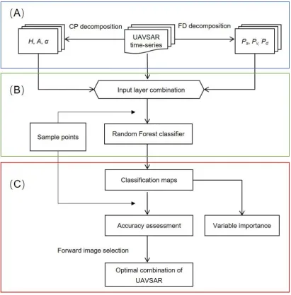 Fig. 2. Flowchart of processing and analysis steps in this work. (A) data pre-processing steps, (B) 