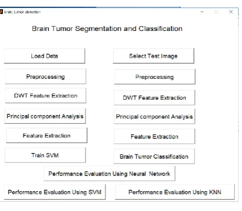 Figure 6 Brain Tumor Classification 