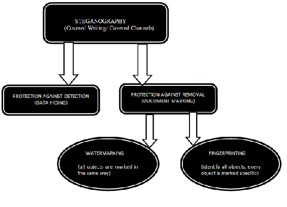Figure 2 shows classification of Steganography. 