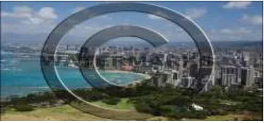 Figure 4: Watermark embedded in an Image 