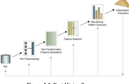 Figure 1.1: Text Mining Process 