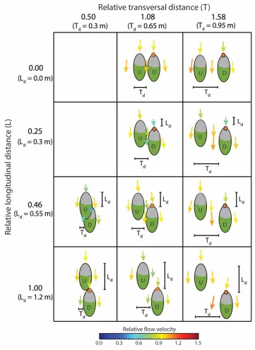 Figure 2 Overview of the ten patch configurations used in the field experiments, with indication of 