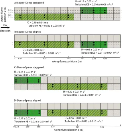 Figure 2 Schematic diagram of the four spatial configurations of aquatic macrophytes in the test 