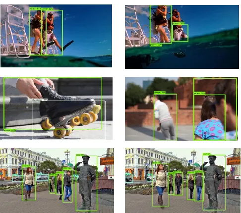 Fig.5 Sample images from different dataset’s with annotations. 