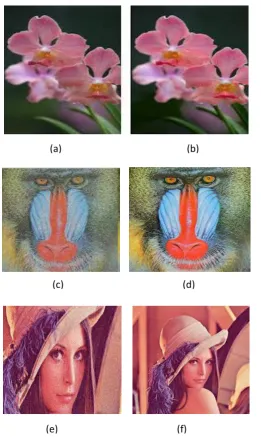 Figure 2; shows the Lena image of 2×2 block pixel. In this figure 2 (a) show the random image of the Lena image and resize the image of the 512×512 in the Lena image shown in figure 2 (b)