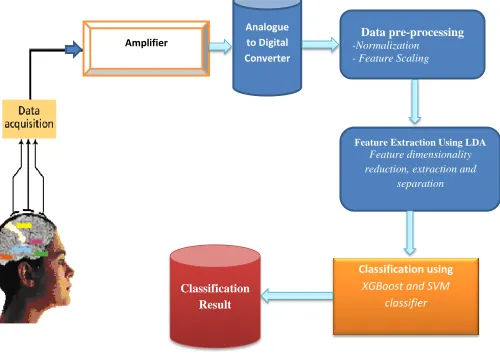 Fig 3.1: Conceptual view of EEG classification system 
