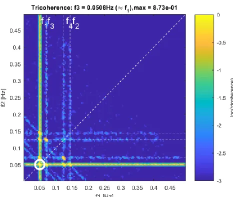 Figure 7 Image of V-tricoherence for f3 = 0.0508 Hz for Case SIN4. The image of the V-tricoherence, for the slice; i.e