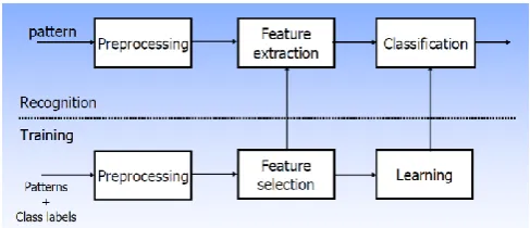Figure 1: Basic pattern recognition process common to most models 