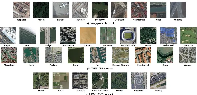 Fig. 2: Example images of the benchmark datasets.