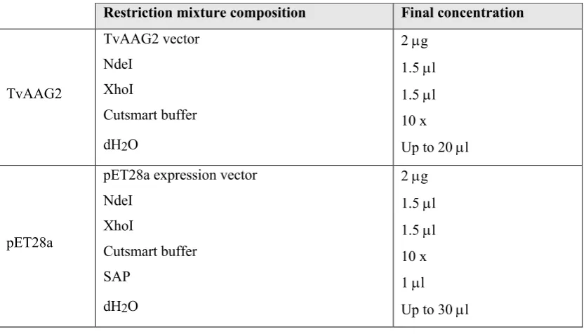 Table 2.4 Composition of Restriction Digest Mixture. Components sourced from New England 