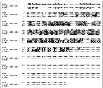 Figure 3.1: Multiple Sequence Alignment of Sequences for Human MYH, NTH1 and Trichomonas vaginalis XP_001329048.1