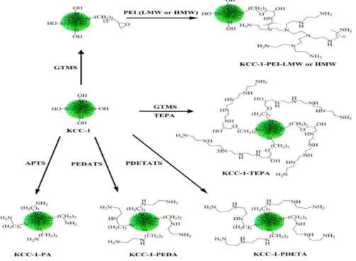 Figure 2: “Functionalization of DFNS with various amines”. [4]