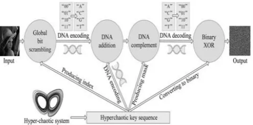 Fig -1: Schematic diagram of the Hyperchaotic DNA scheme 