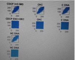 Fig 4. Image Correlation  