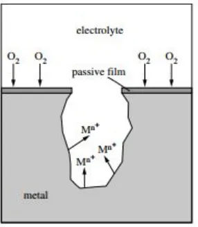 Figure 1.13: Partial reactions in pitting corrosion [25].