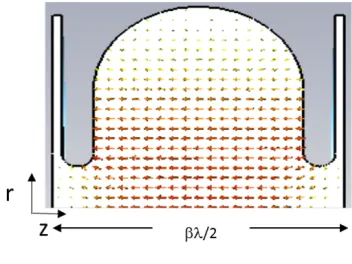 Figure 1. A single cell in a bi-periodic standing wave cavity,with the electric ﬁeld.