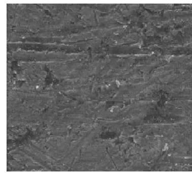 Fig.-4: Microstructure of work sample without coating 